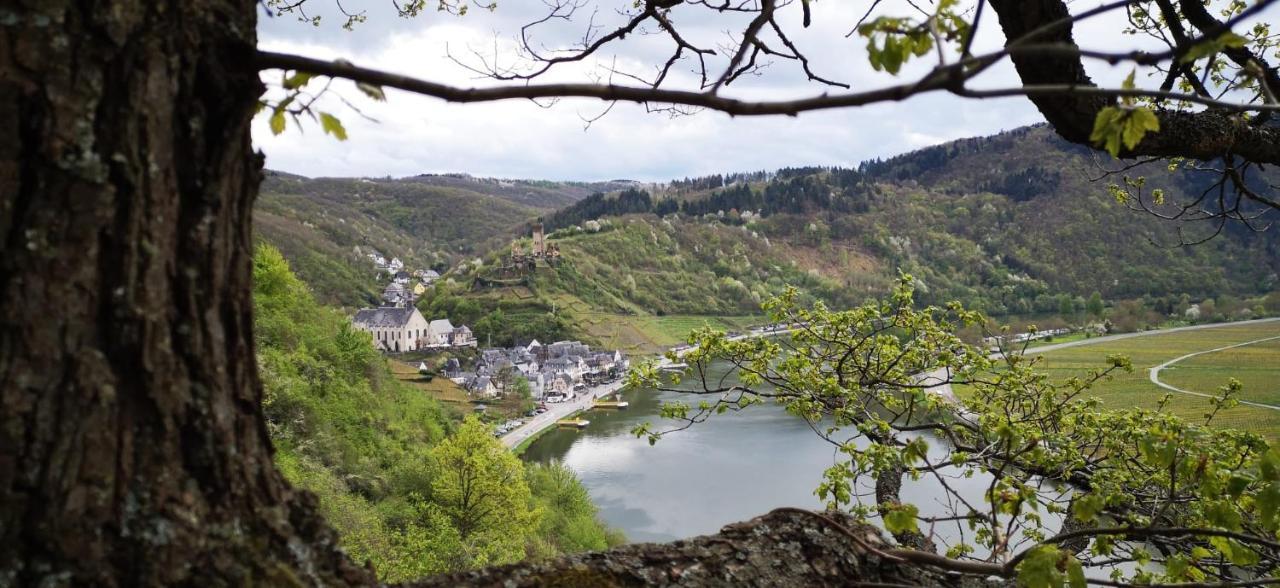 Ferienwohnungen Am Bruttiger Moselsteig Exterior foto