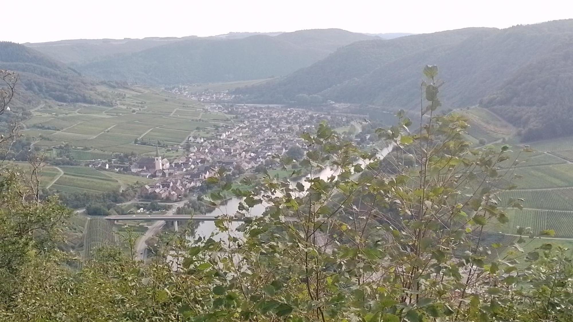 Ferienwohnungen Am Bruttiger Moselsteig Exterior foto