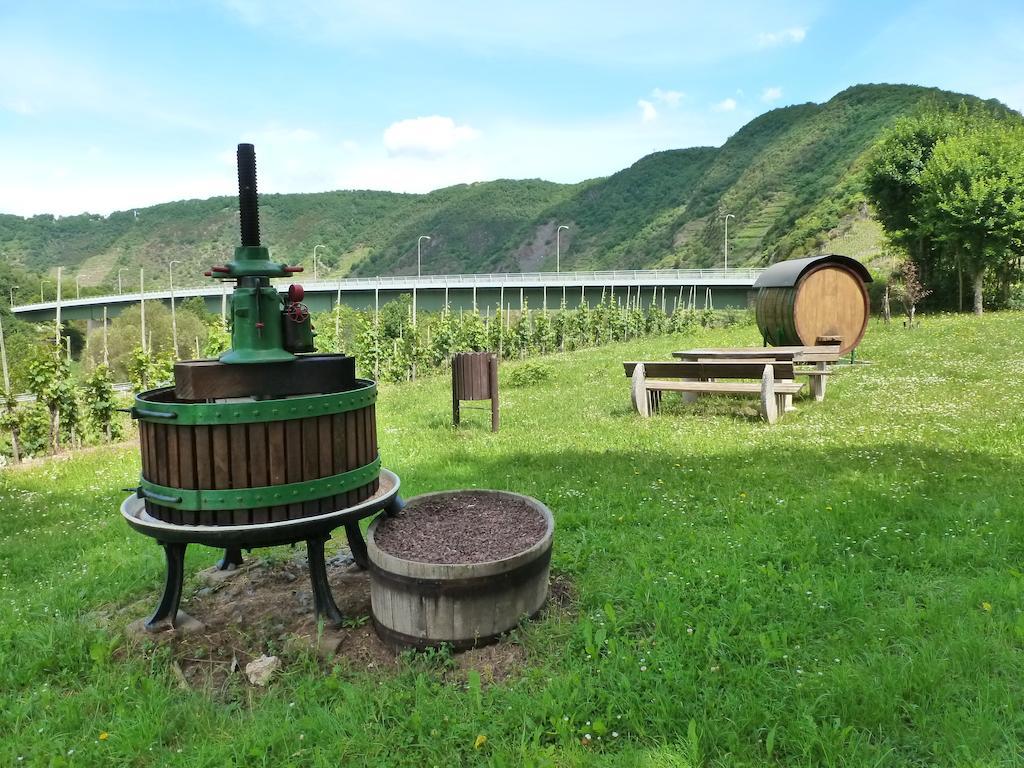 Ferienwohnungen Am Bruttiger Moselsteig Quarto foto