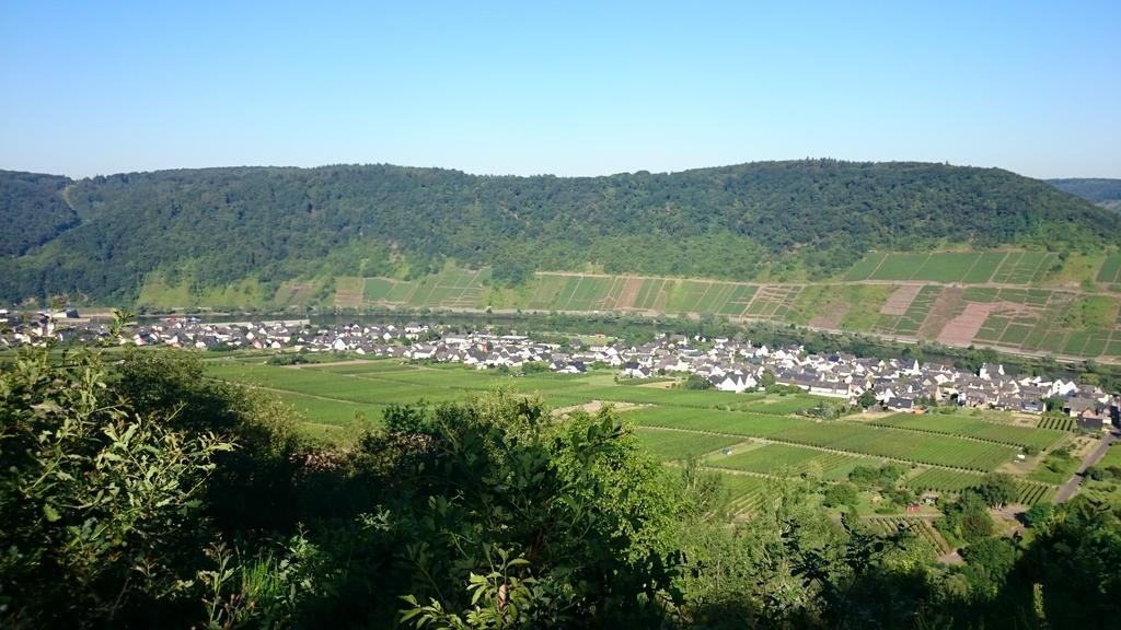 Ferienwohnungen Am Bruttiger Moselsteig Exterior foto