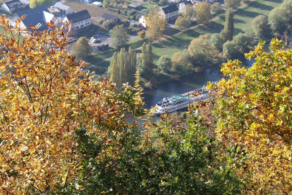 Ferienwohnungen Am Bruttiger Moselsteig Exterior foto