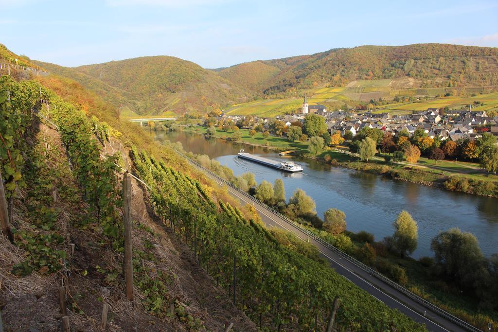 Ferienwohnungen Am Bruttiger Moselsteig Exterior foto