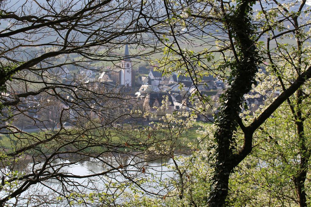 Ferienwohnungen Am Bruttiger Moselsteig Exterior foto