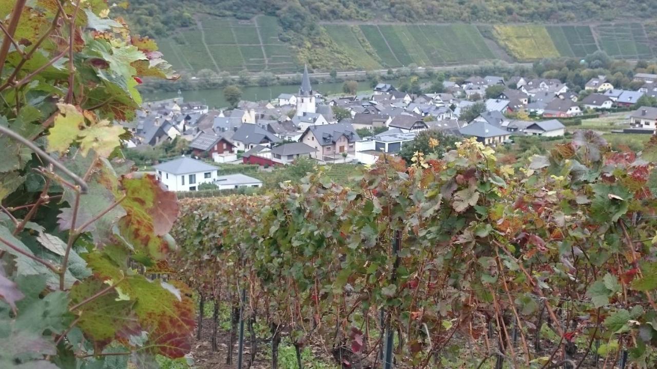 Ferienwohnungen Am Bruttiger Moselsteig Exterior foto